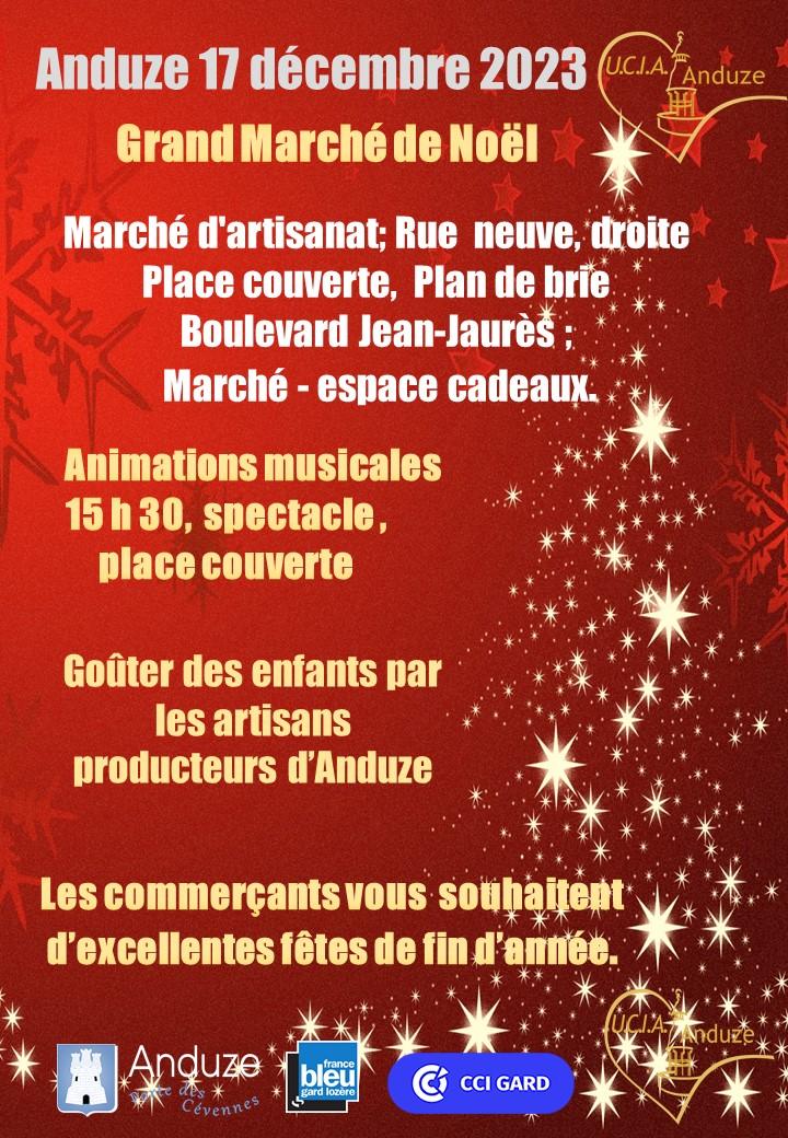 Affiche marche noel 2024